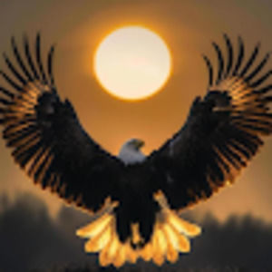 Meet your Posher, Jerry